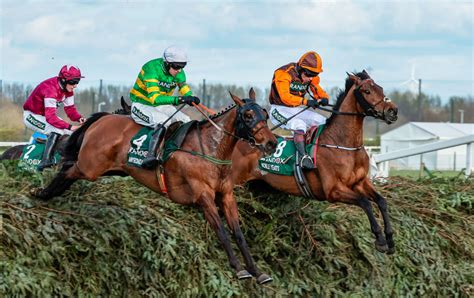 What horses are running in grand national 2023  Horse Racing